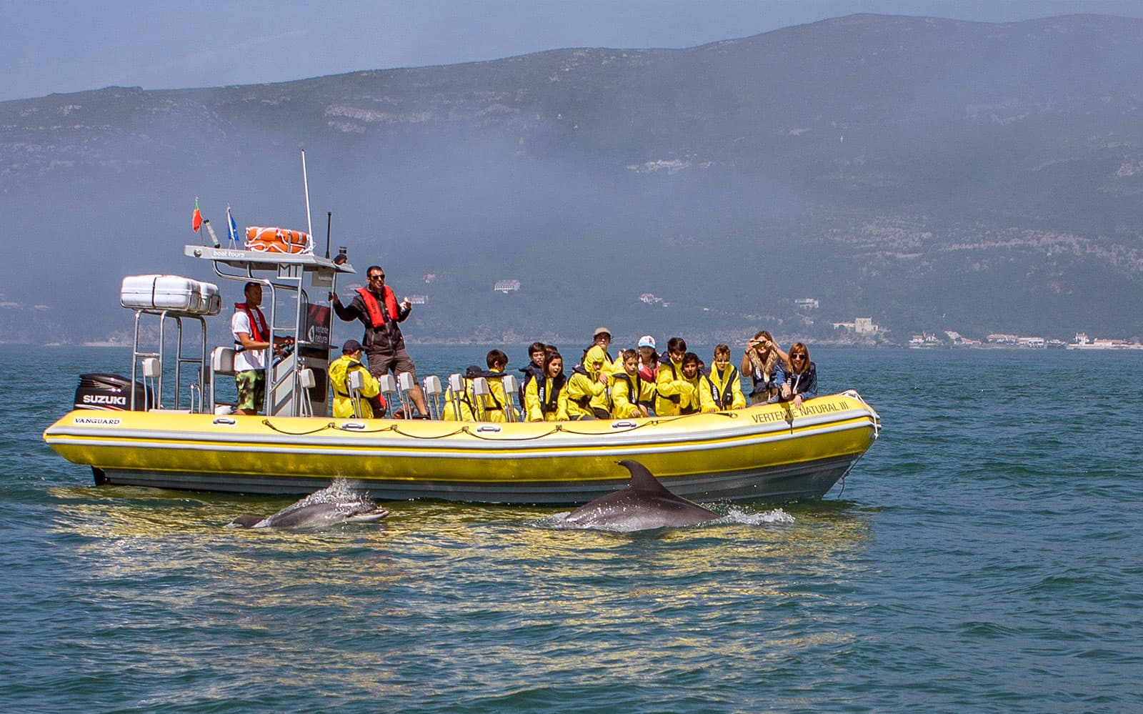Dolphin Watch - Guided Tour tickets in Lisbon - Attractions | TickYourList