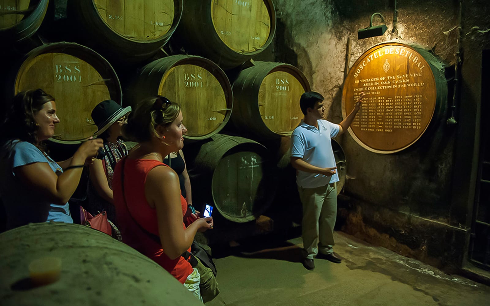 Small Group Wine Tour in Arrábida from Lisbon tickets in Lisbon - Attractions | TickYourList