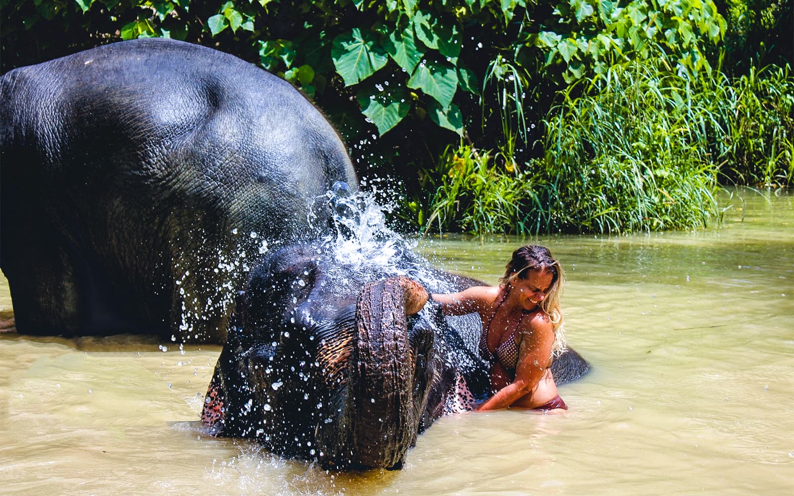 Ao Nang Elephant Sanctuary Half-Day Guided Tour with Hotel Transfers