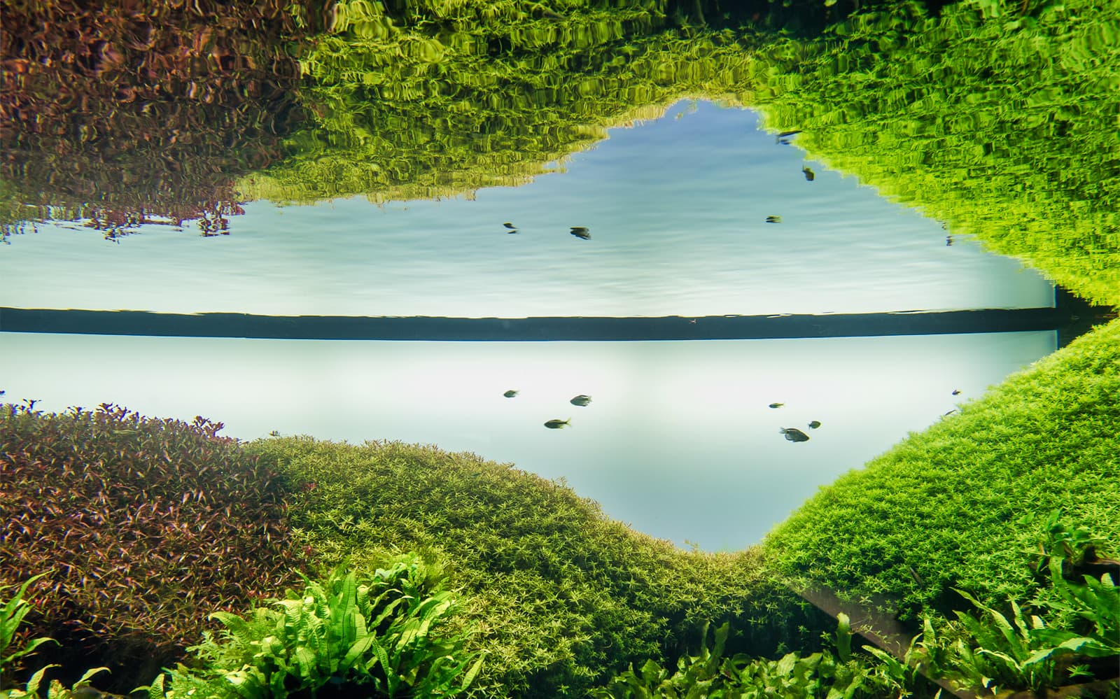 Combo (Save 18%): Lisboa's Oceanário + National Palace of Pena + National Palace of Sintra tickets in Lisbon - Features | TickYourList