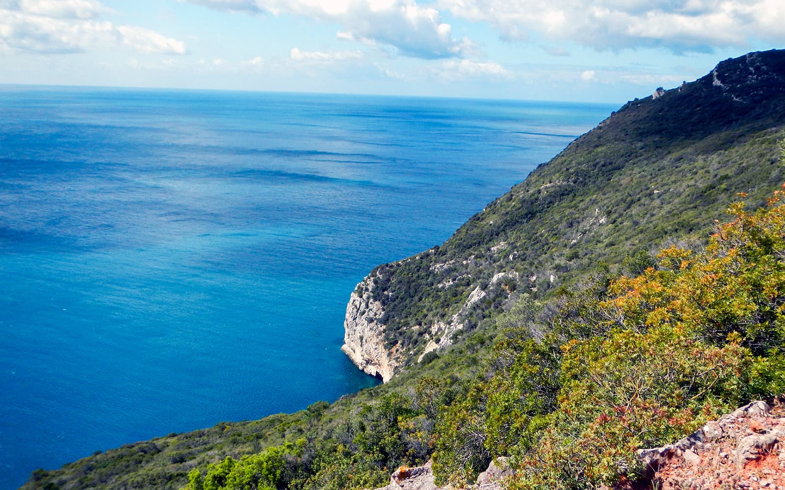 Half-Day Hiking at Arrábida Natural Park tickets in Lisbon - Attractions | TickYourList