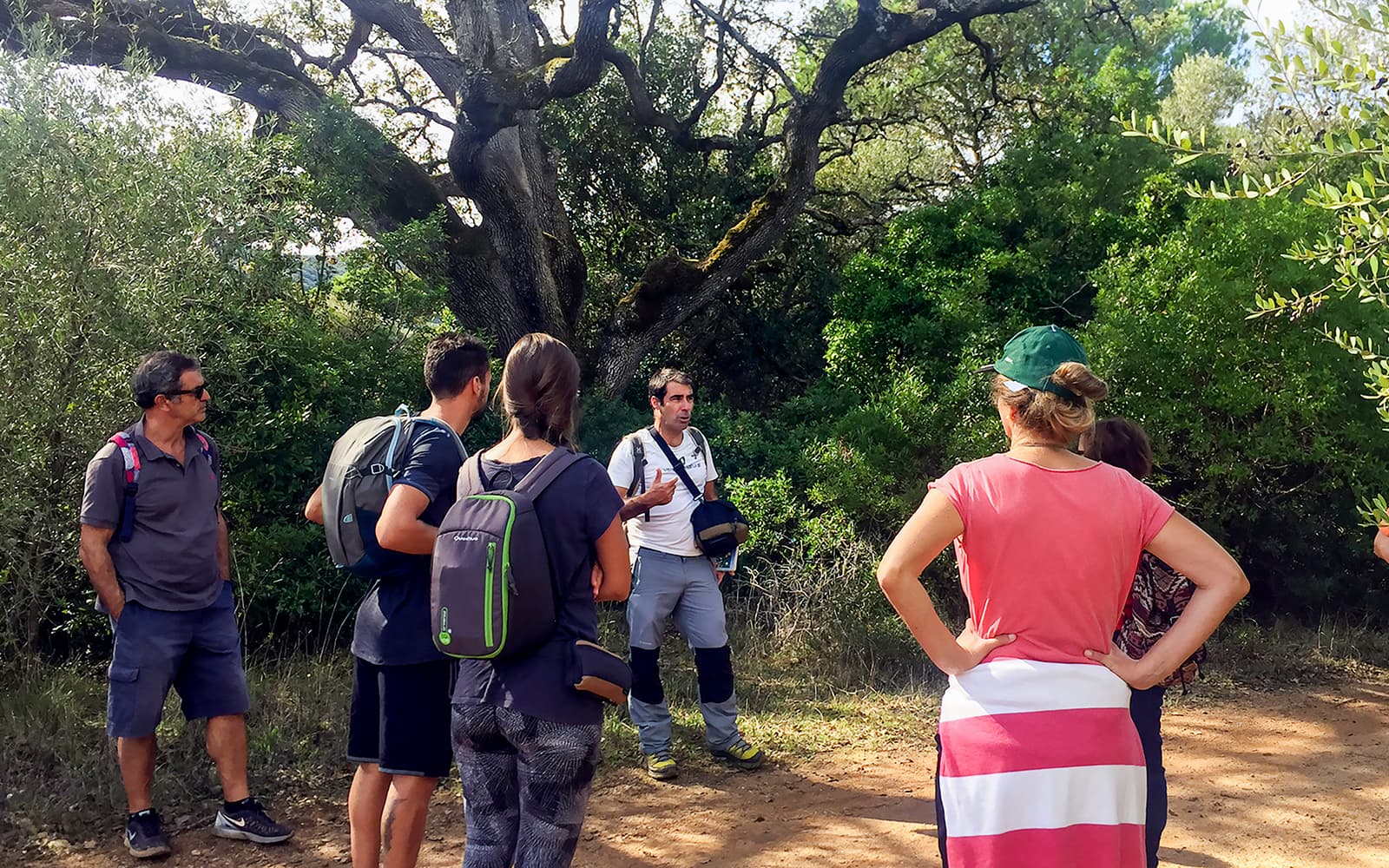 Half-Day Hiking at Arrábida Natural Park tickets in Lisbon - Activities | TickYourList