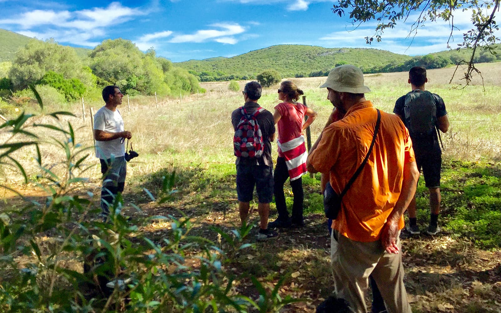 Half-Day Hiking at Arrábida Natural Park tickets in Lisbon - Highlights | TickYourList