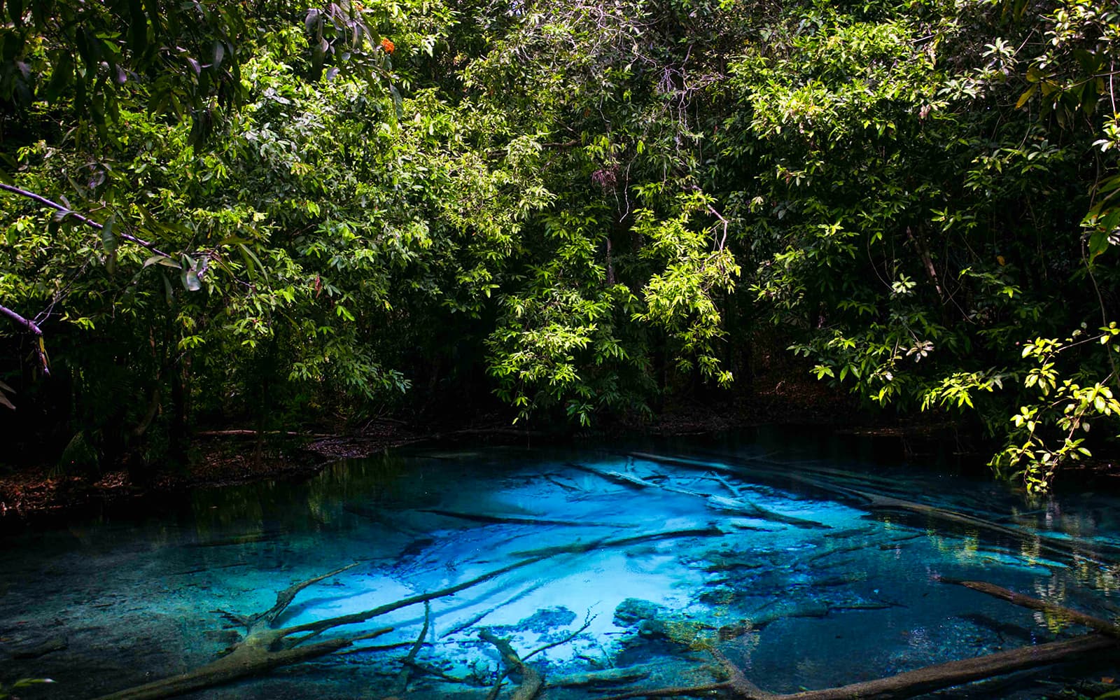 Krabi: Tiger Cave Temple, Emerald Pool & Hot Springs Tour tickets in Krabi - Highlights | TickYourList