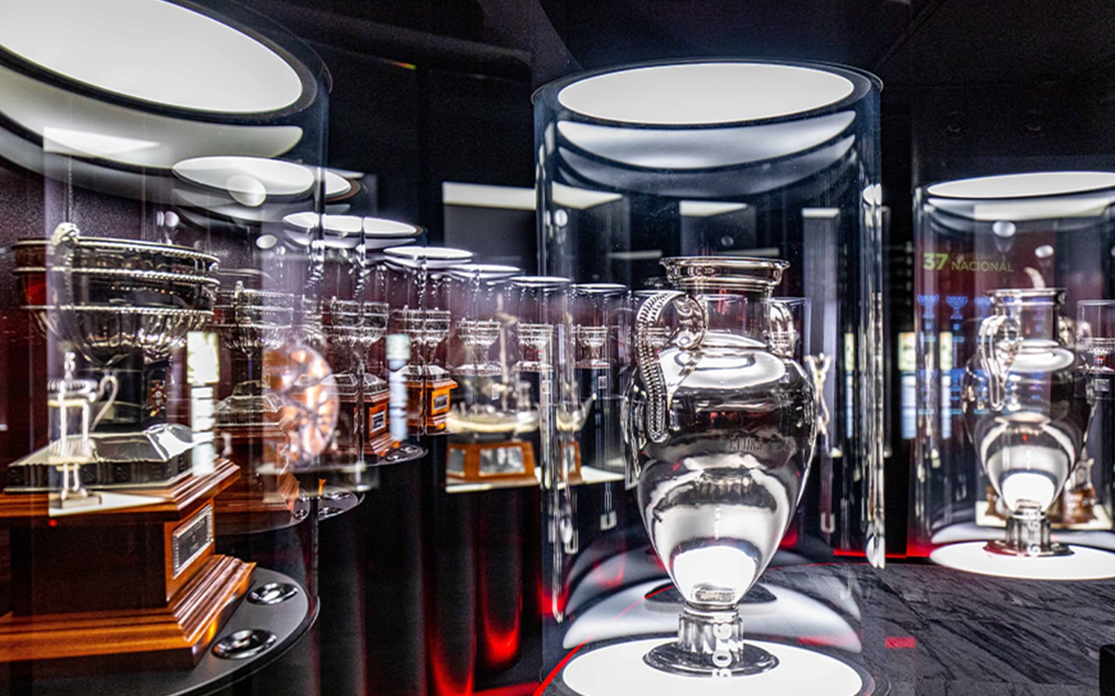 Combo (Save 5%): SL Benfica Stadium & Museum Skip-the-Line Guided Tour + Lisbon Card tickets in Lisbon - Features | TickYourList