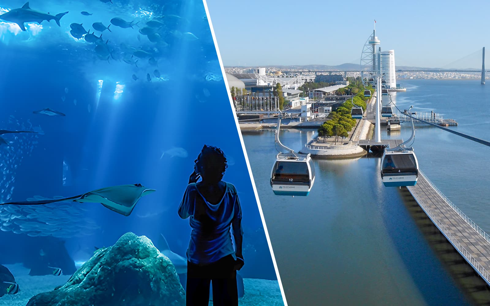 Combo: Oceanário de Lisboa + Telecabine Cable Car Tickets