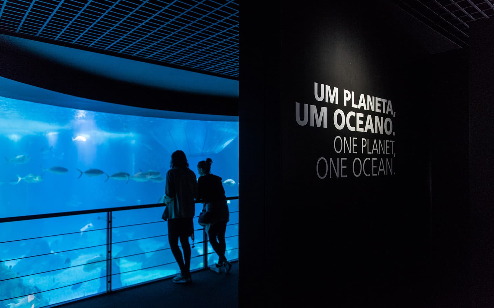 Lisbon Walking Tours + Entry Ticket to Lisbon Oceanarium in Lisbon - Full Experience | TickYourList