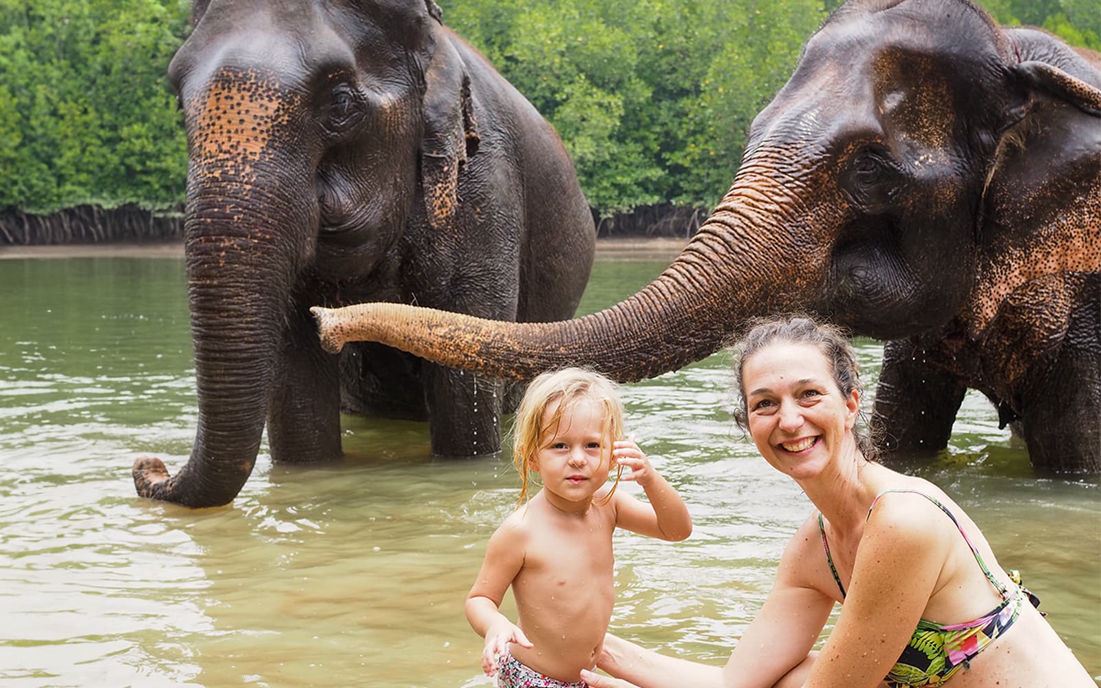 Krabi Elephant Shelter Experience with Hotel Transfers tickets in Krabi - Activities | TickYourList