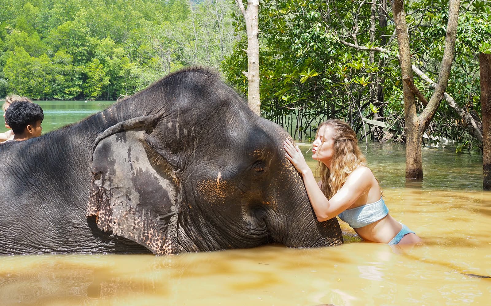 Krabi Elephant Shelter Experience with Hotel Transfers tickets in Krabi - Highlights | TickYourList