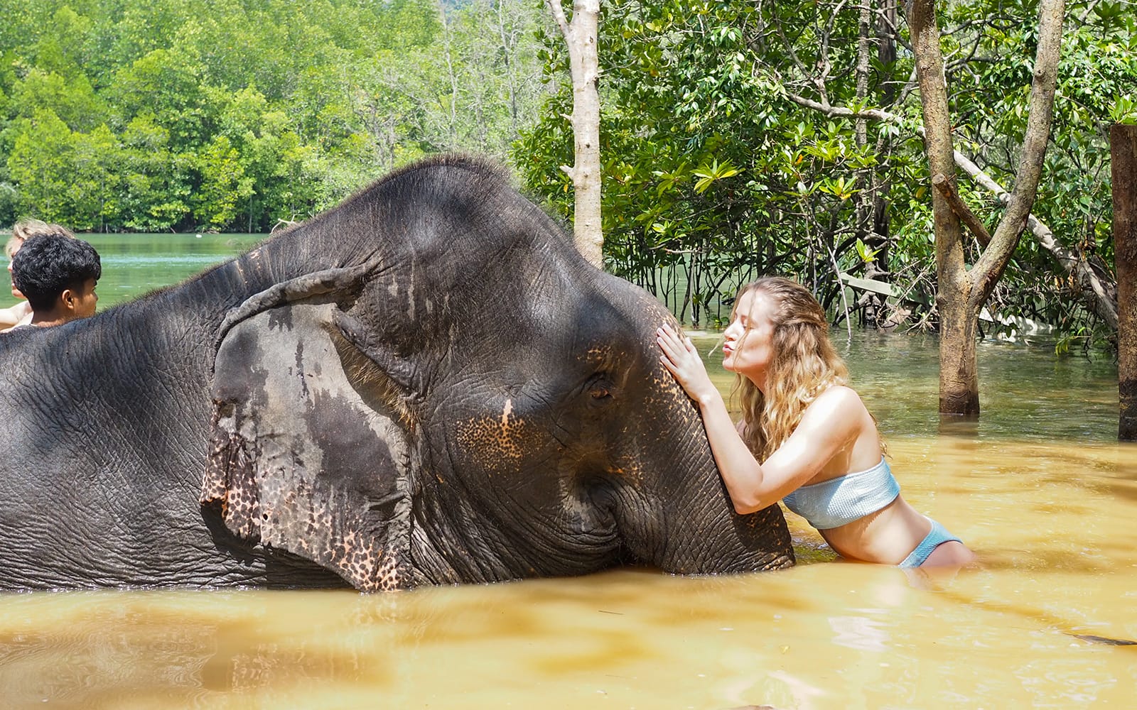 53bc5690e73b45776ccc0c5c3afb60ae-23798-krabi-krabi-elephant-shelter-experience-with-round-trip-hotel-transfers-04.jpg