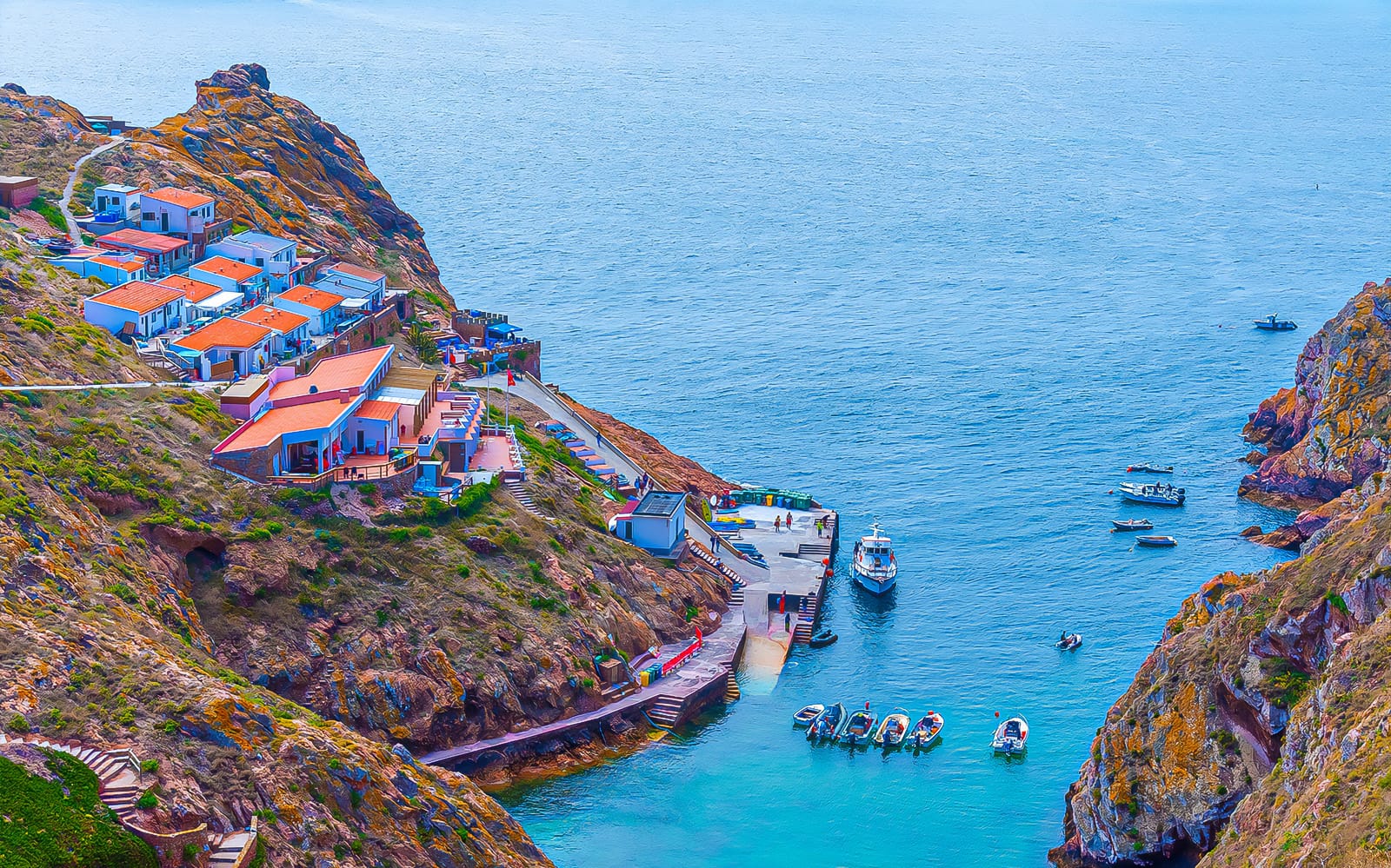 Tour to Berlenga Grande Island with Boat Trip to the Caves from Lisbon tickets in Lisbon - Activities | TickYourList