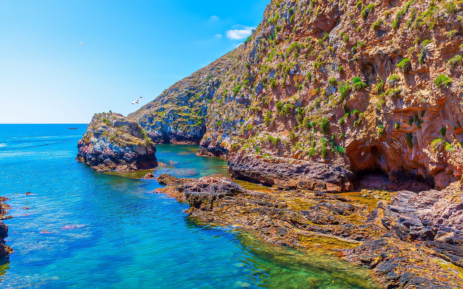 Tour to Berlenga Grande Island with Boat Trip to the Caves from Lisbon tickets in Lisbon - Features | TickYourList