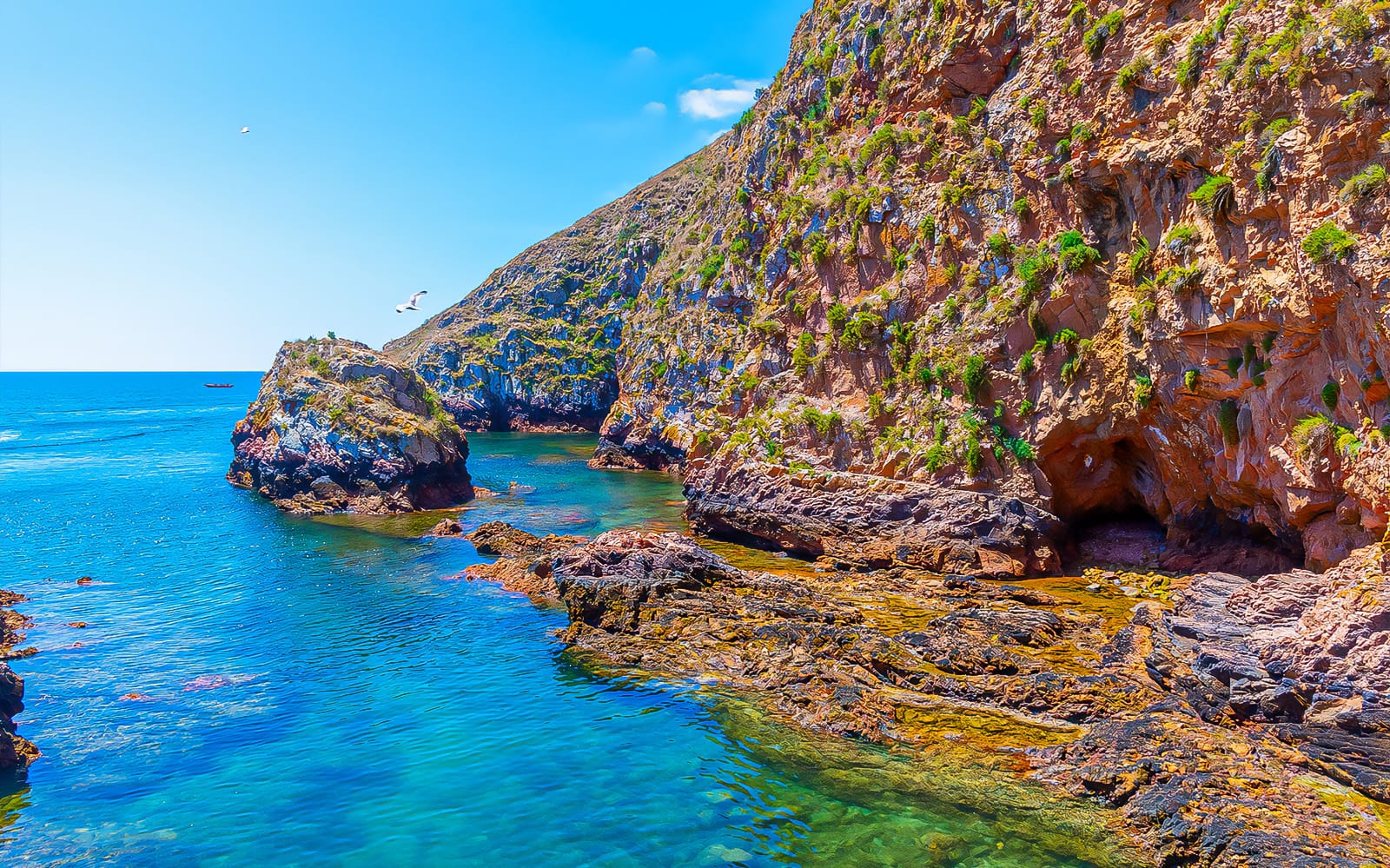 Tour to Berlenga Grande Island with Boat Trip to the Caves from Lisbon tickets in Lisbon - Features | TickYourList