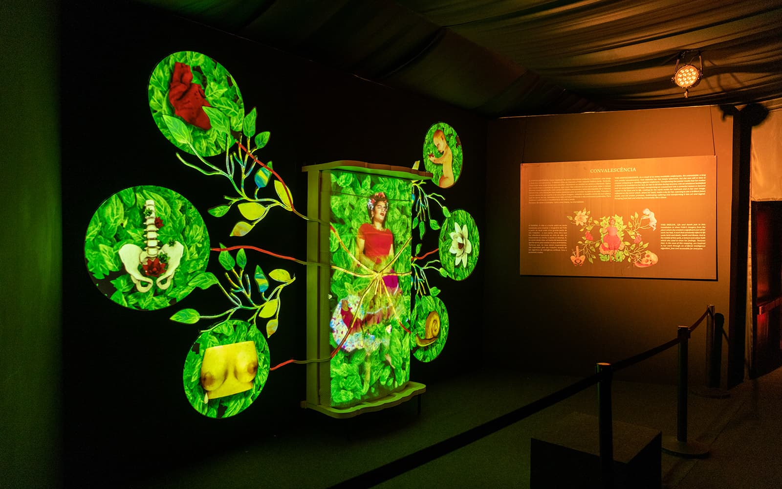 Tickets to Frida Kahlo - An Immersive Biography in Lisbon - Highlights | TickYourList