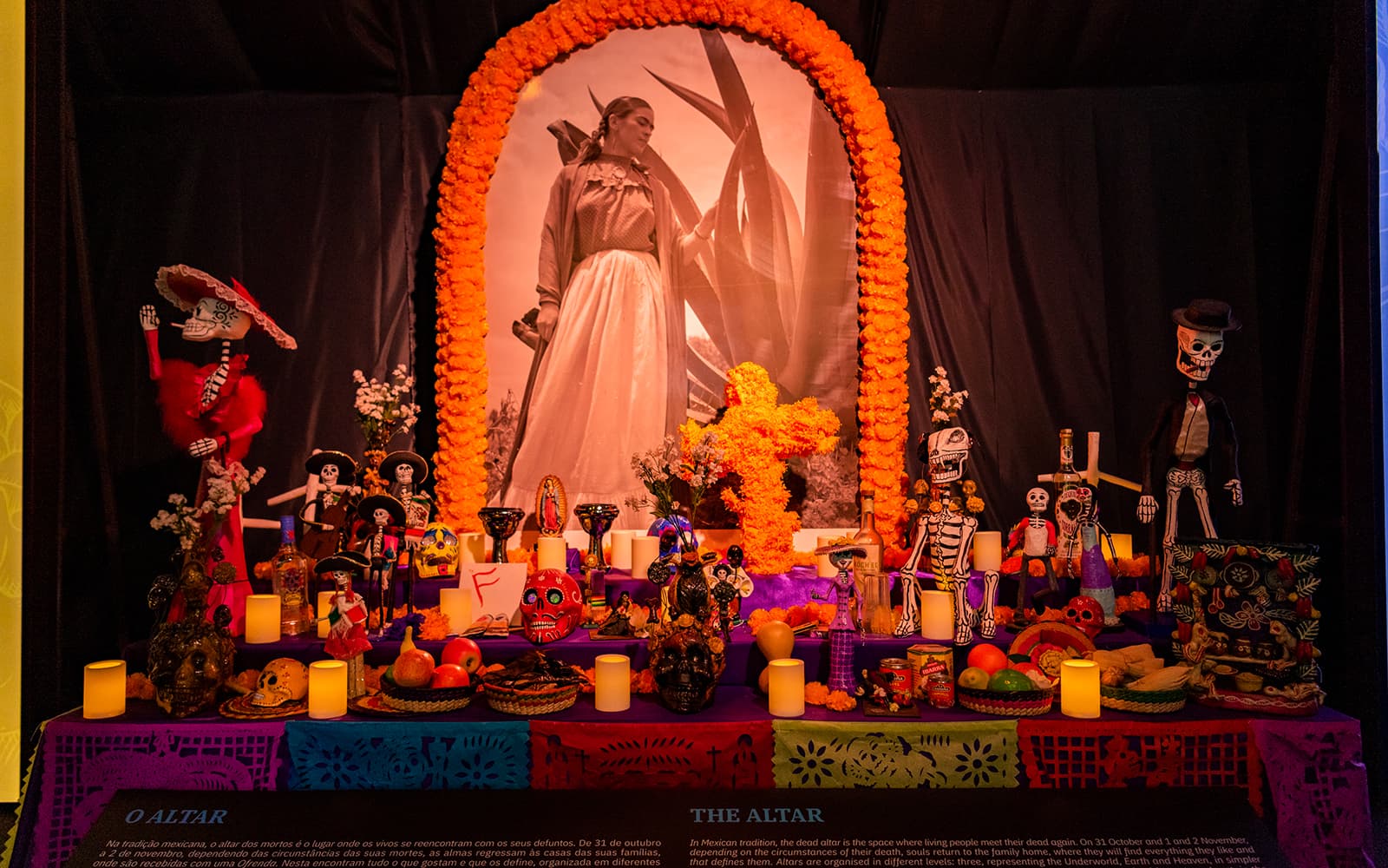 Tickets to Frida Kahlo - An Immersive Biography in Lisbon - Features | TickYourList