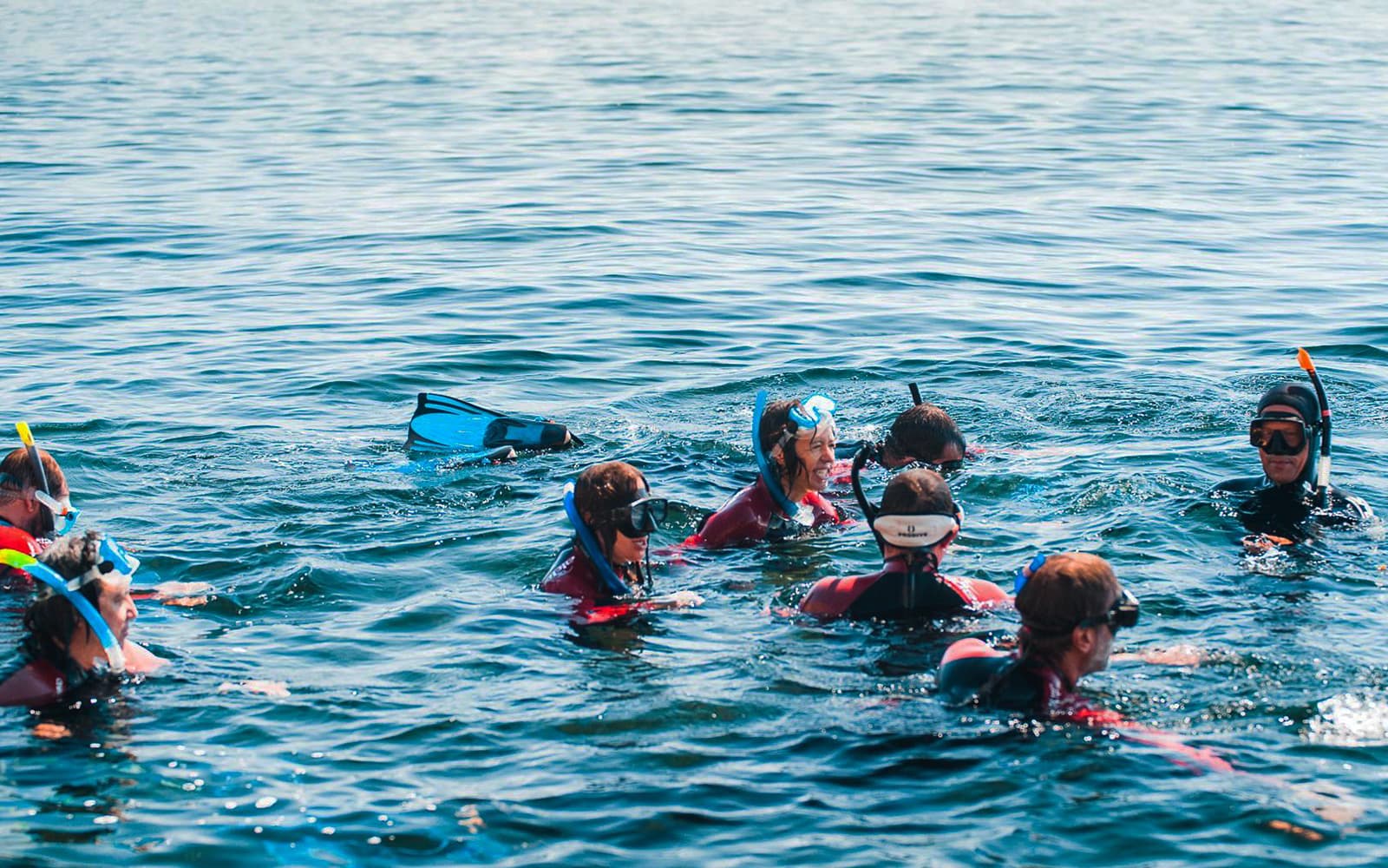 Snorkeling in Arrábida Natural Park with Optional Transfers