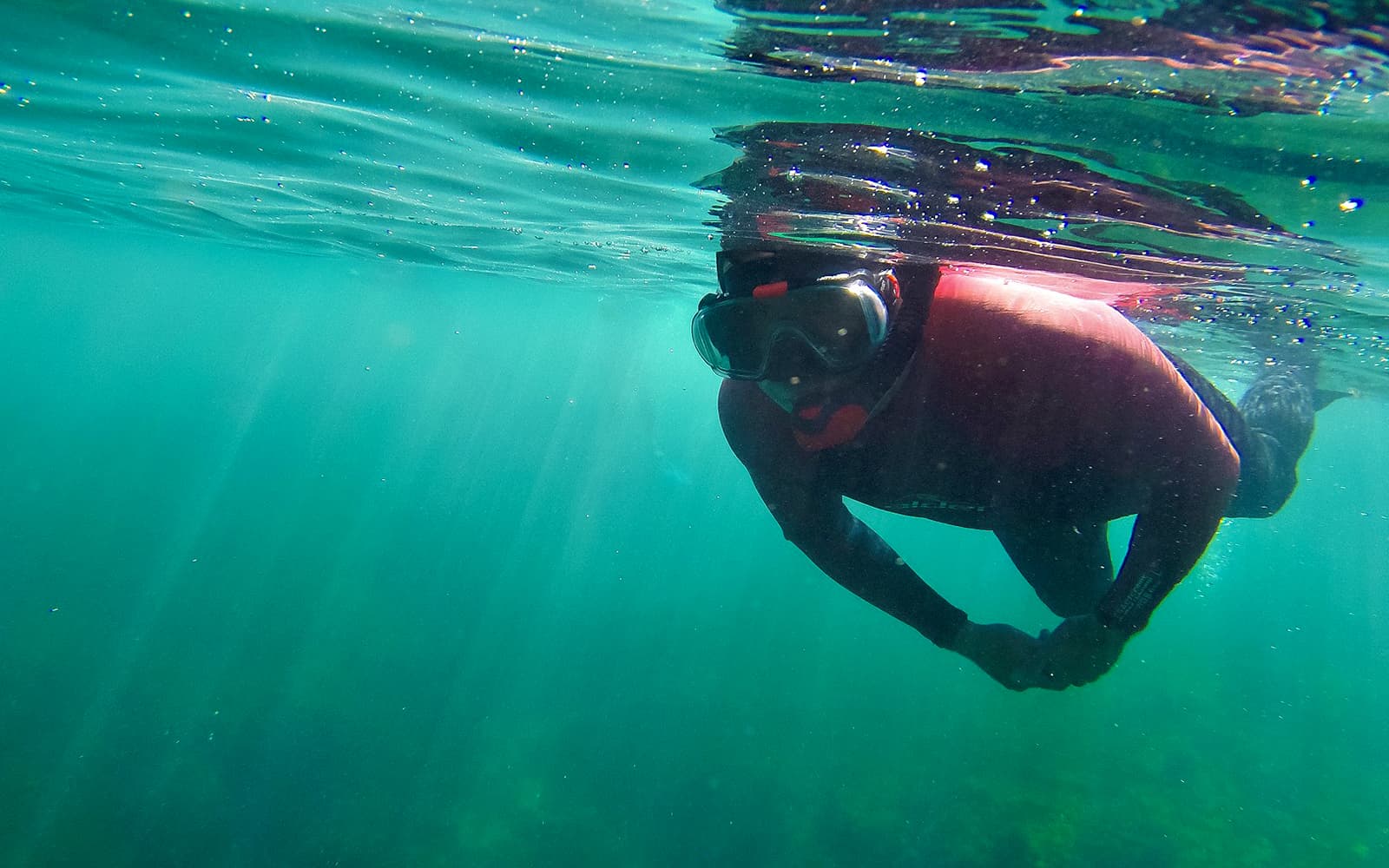 Snorkeling in Arrábida Natural Park with Optional Transfers tickets in Lisbon - Activities | TickYourList