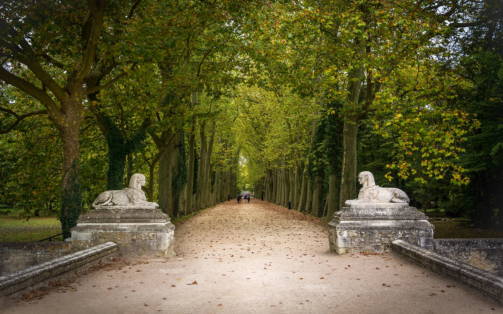 Chenonceau Castle & Gardens Tickets in Loire Valley - Highlights | TickYourList