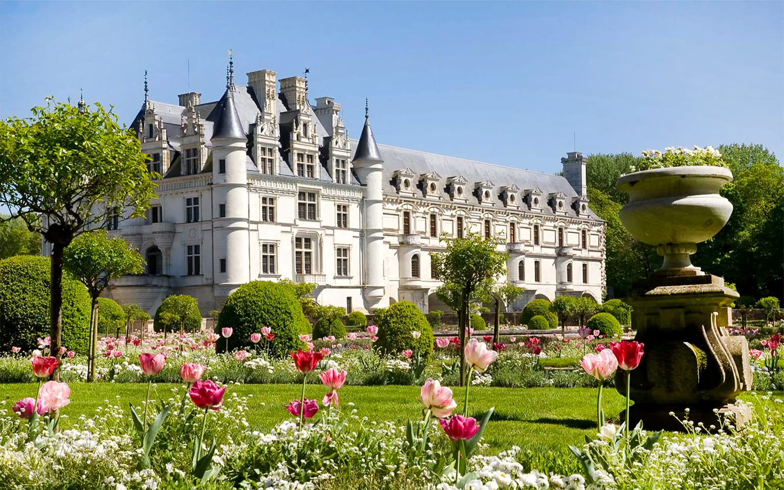 From Paris: Chambord & Chenonceau Castles Guided Tour + Wine Tasting tickets in Loire Valley - Highlights | TickYourList