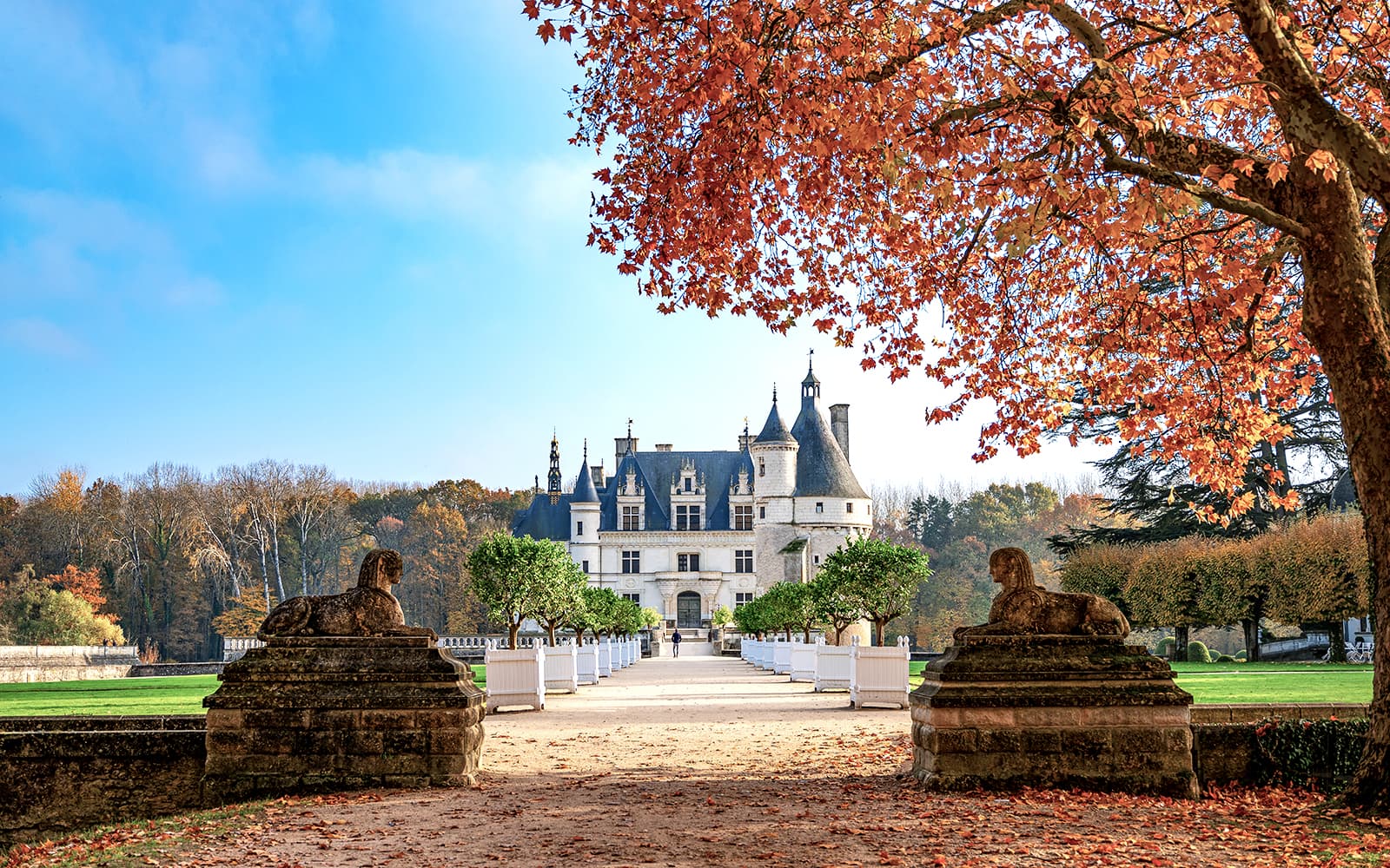 Combo (Save 15%): Chenonceau Castle + Clos Lucé Castle + Royal Blois Castle Skip-the-Line Entry Tickets experience in Loire Valley | TickYourList