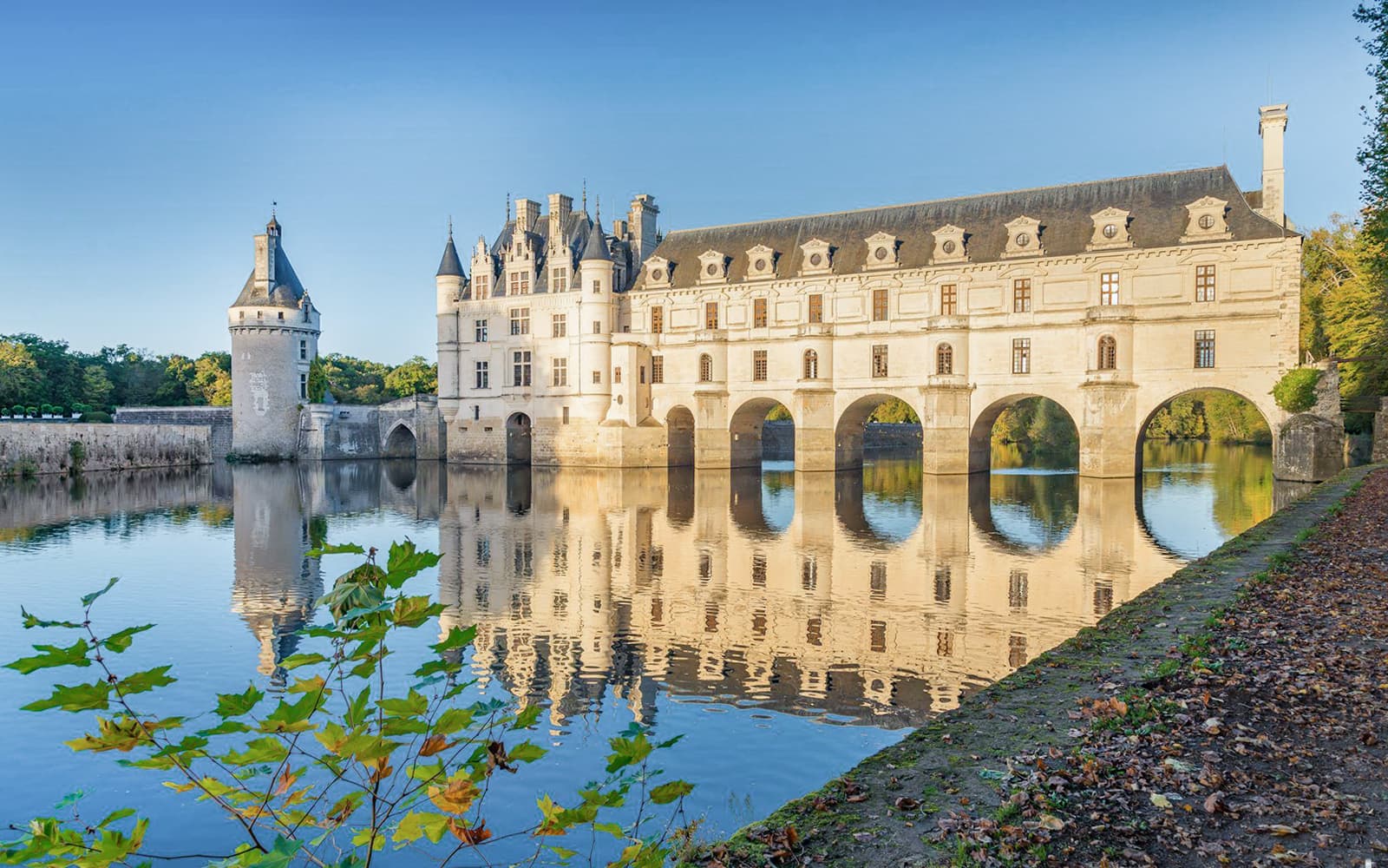 From Tours or Amboise: Chambord and Chenonceau Castle Day Tour with Optional Lunch tickets in Loire Valley - Highlights | TickYourList