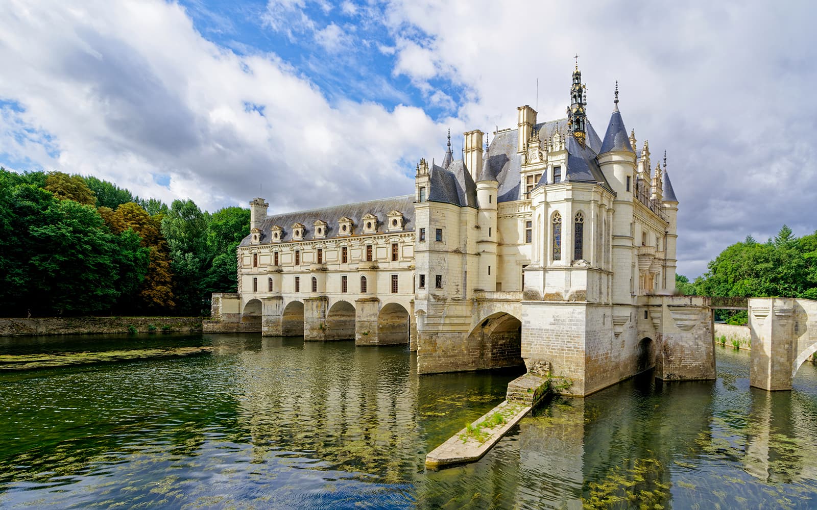 From Tours or Amboise: Chambord and Chenonceau Castle Guided Tour tickets in Loire Valley - Highlights | TickYourList
