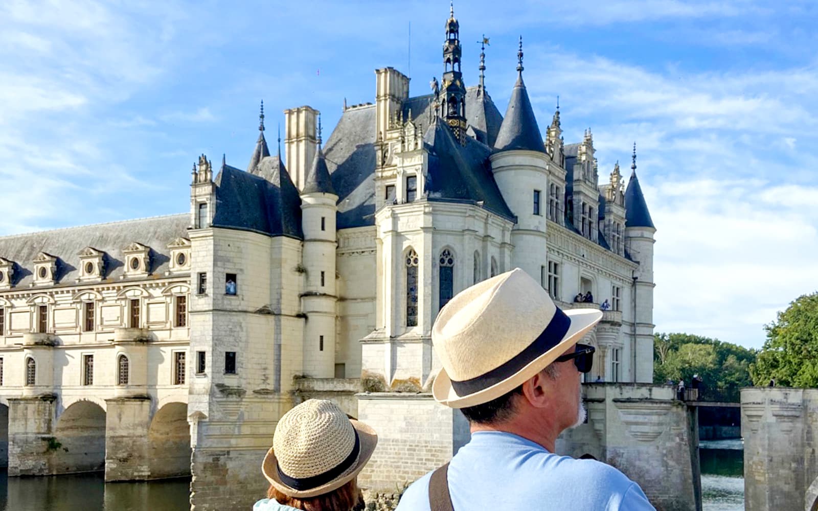 From Tours or Amboise: Chambord and Chenonceau Castle Guided Tour tickets in Loire Valley - Features | TickYourList