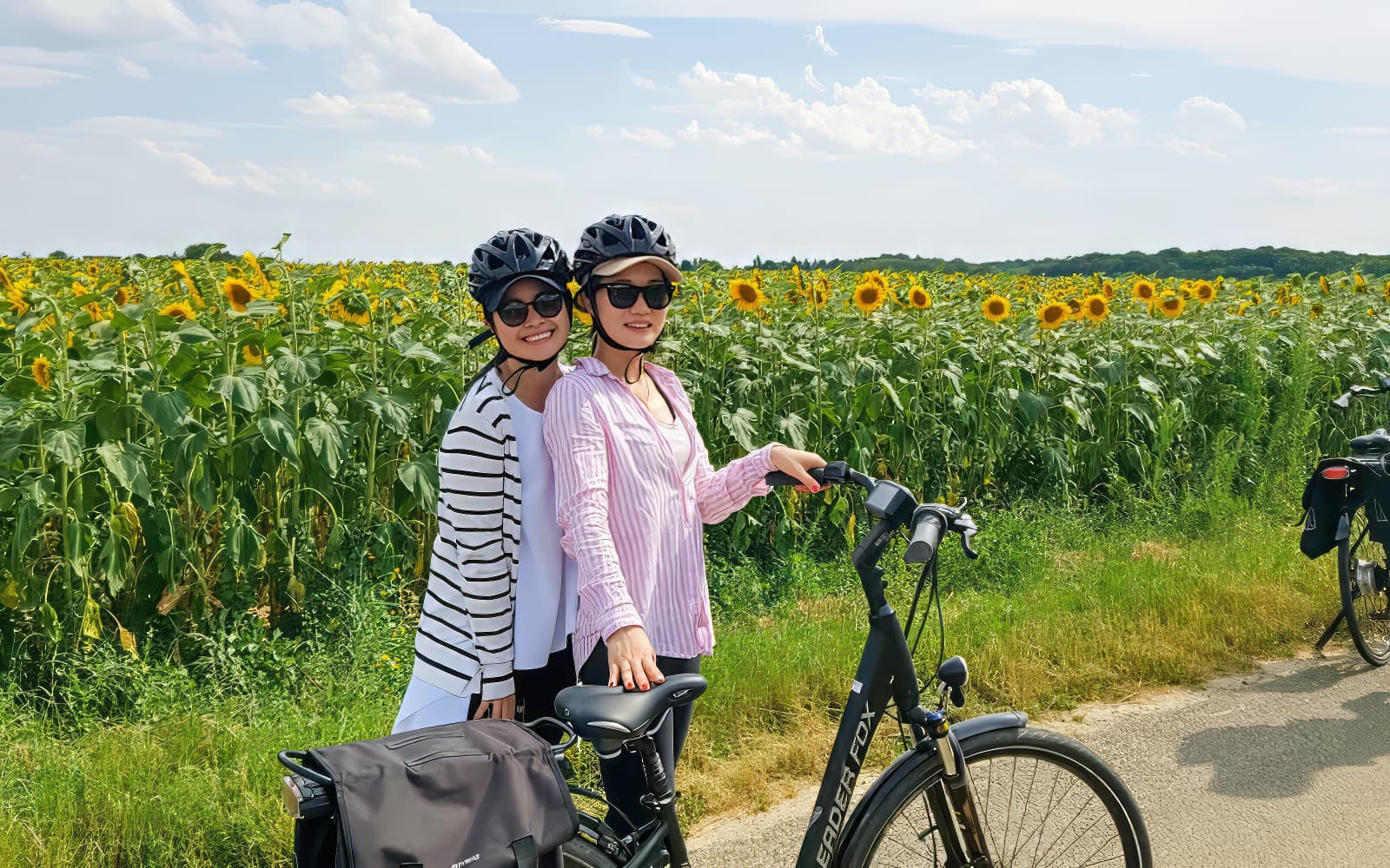 From Tours or Amboise: Chambord E-bike Guided Tour tickets in Loire Valley - Attractions | TickYourList