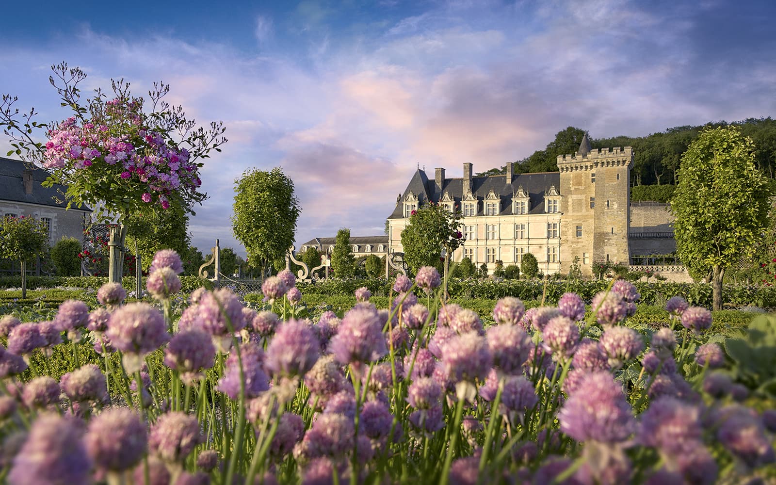 Villandry Castle Gardens-only Ticket