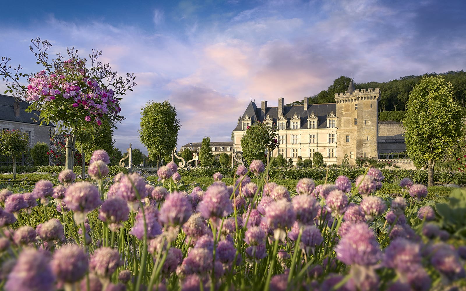 Villandry Castle Gardens-only Ticket experience in Loire Valley | TickYourList