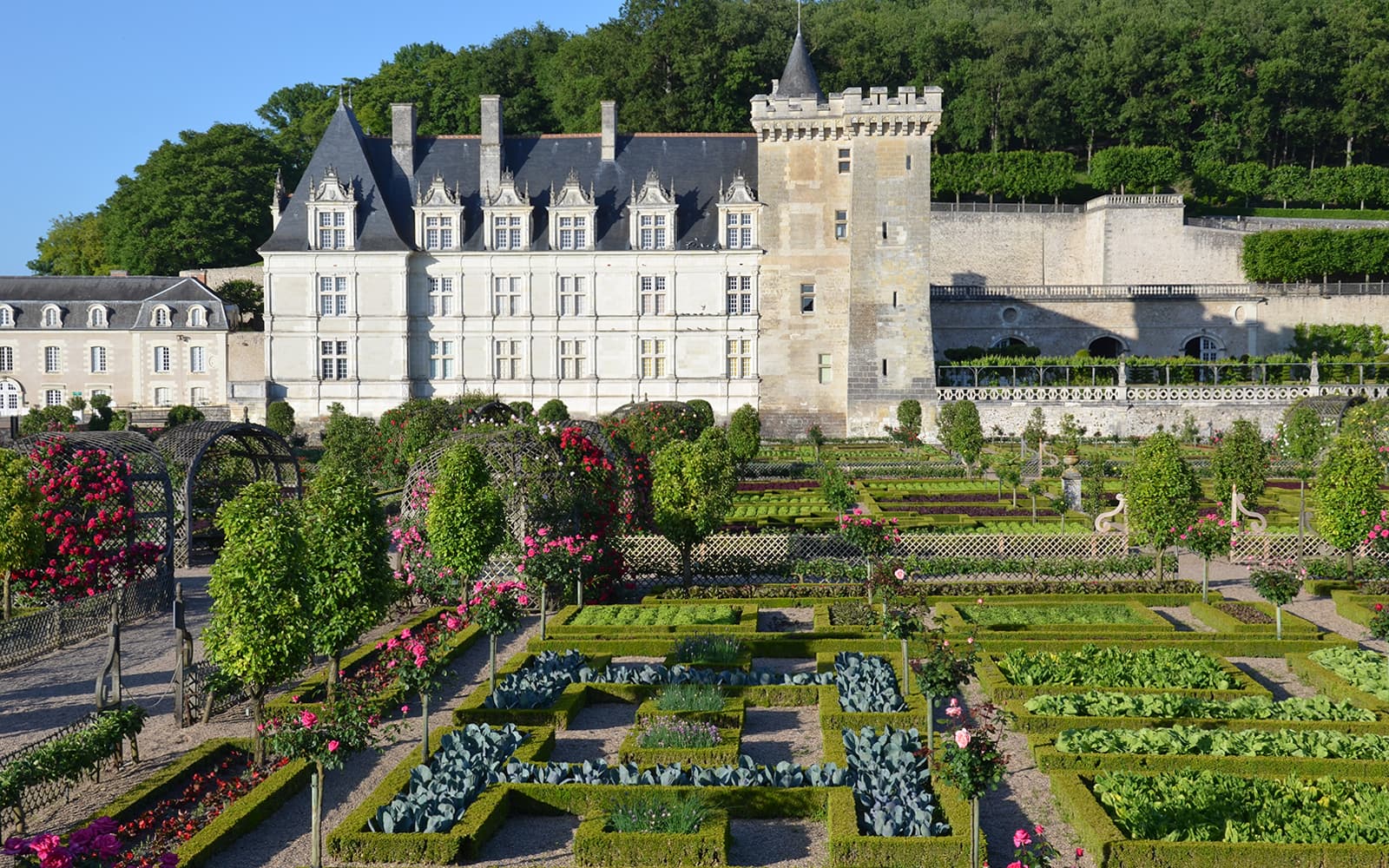 Royal Blois Castle + 1 Loire Valley Castle Combo tickets in Loire Valley - Features | TickYourList