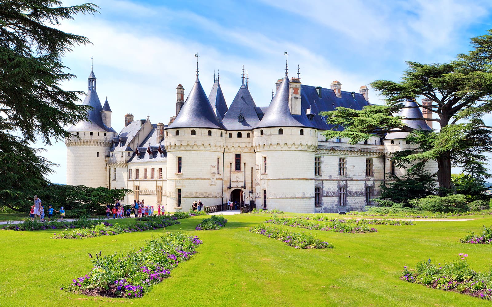 Royal Blois Castle + 2 Loire Valley Castle Combo tickets in Loire Valley - Highlights | TickYourList