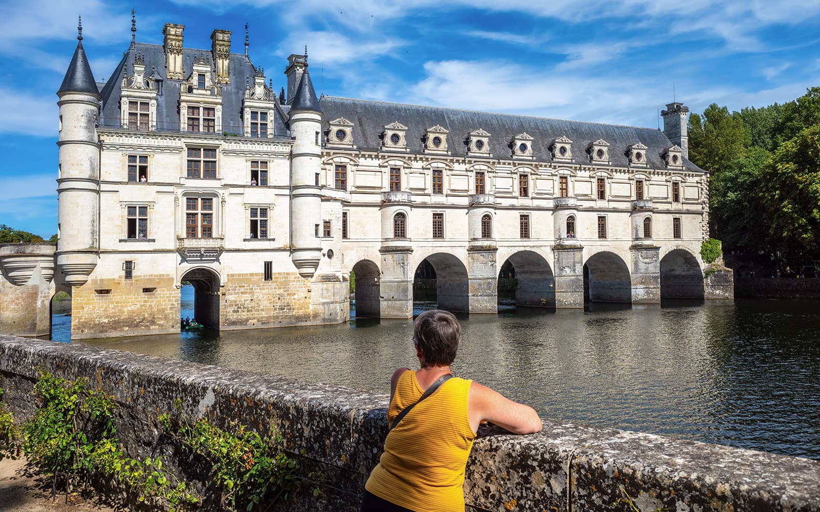 Full-Day Guided Tour of the Loire Valley Châteaux from Paris tickets in Paris - Attractions | TickYourList