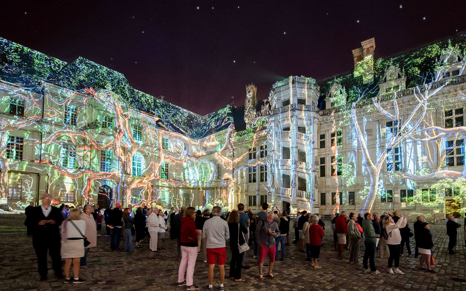 Sound and Light Show at Royal Blois Castle with Skip-the-Line Tickets in Loire Valley - Attractions | TickYourList