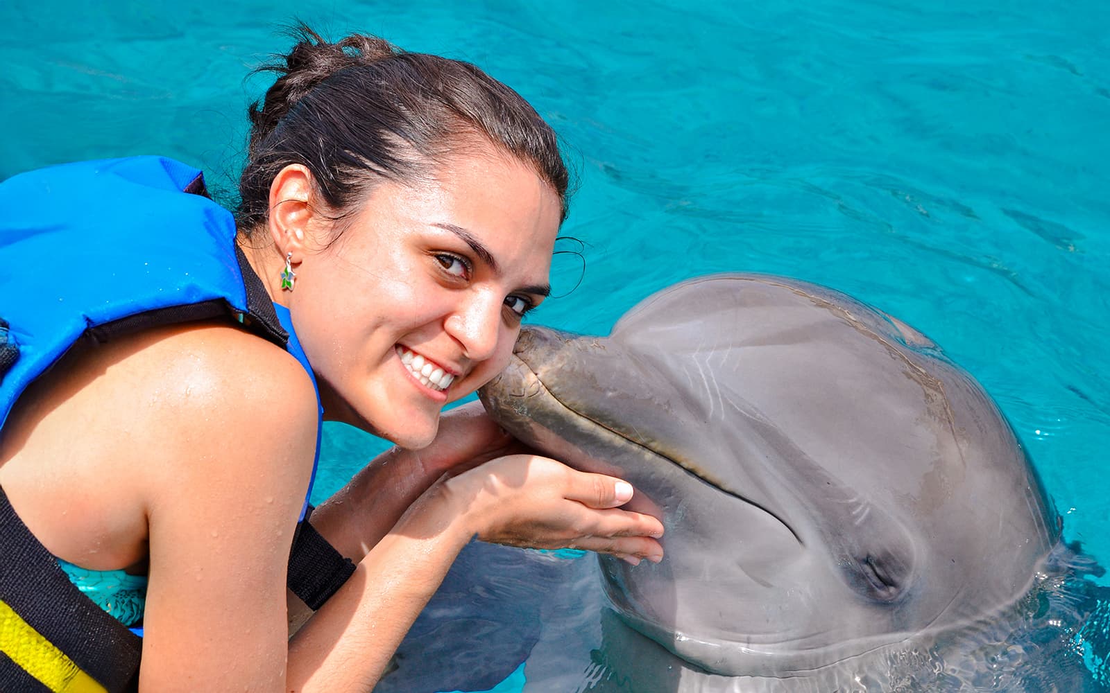 Dolphinarium Pattaya - Swim with Dolphins Experience tickets in Pattaya - Highlights | TickYourList