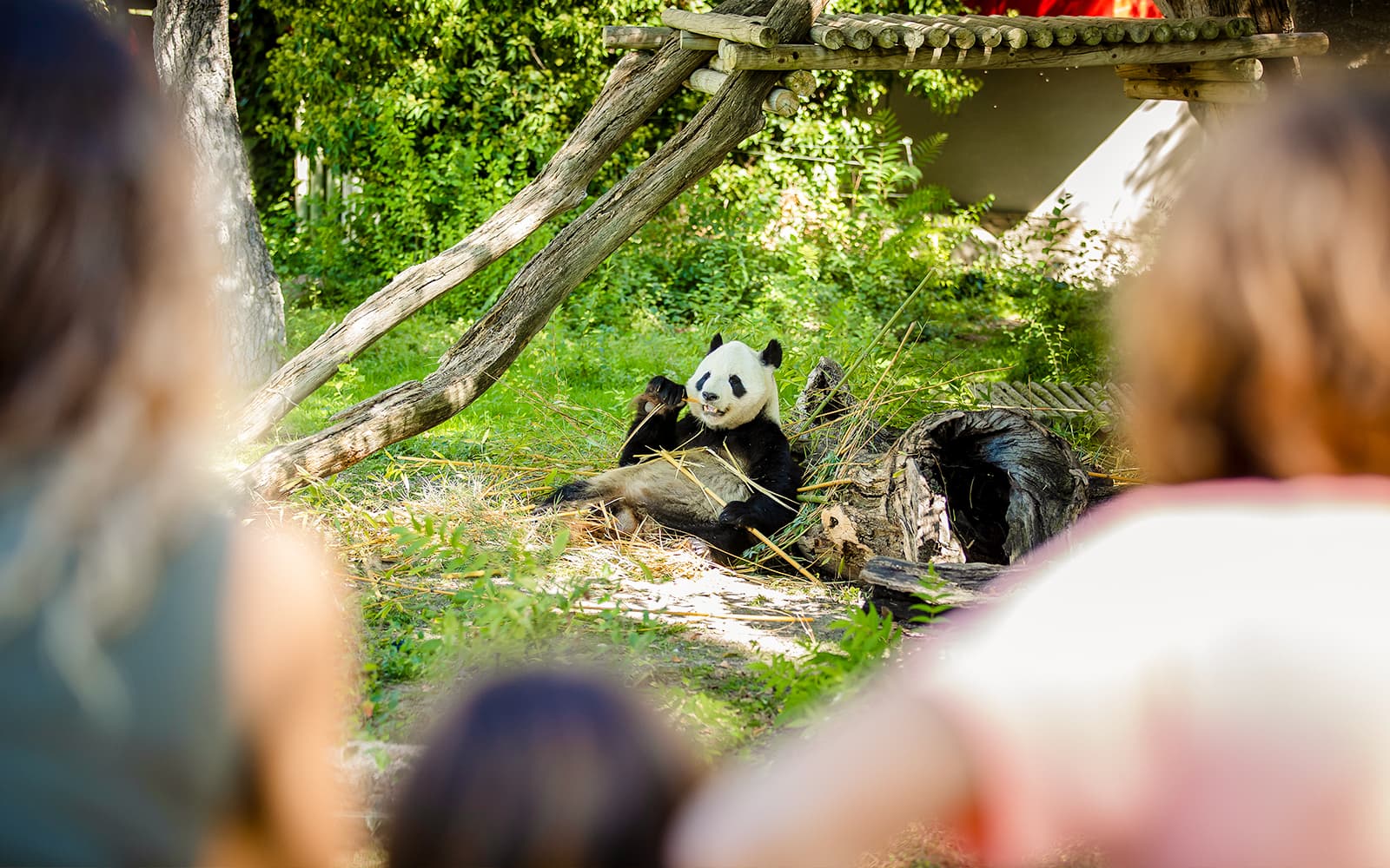 Madrid Zoo Aquarium Entry Tickets in Madrid - Attractions | TickYourList