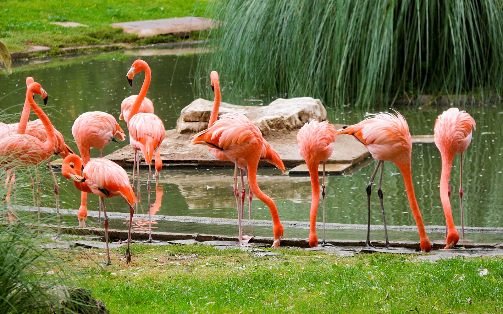 Madrid Zoo Aquarium Entry Tickets in Madrid - Features | TickYourList