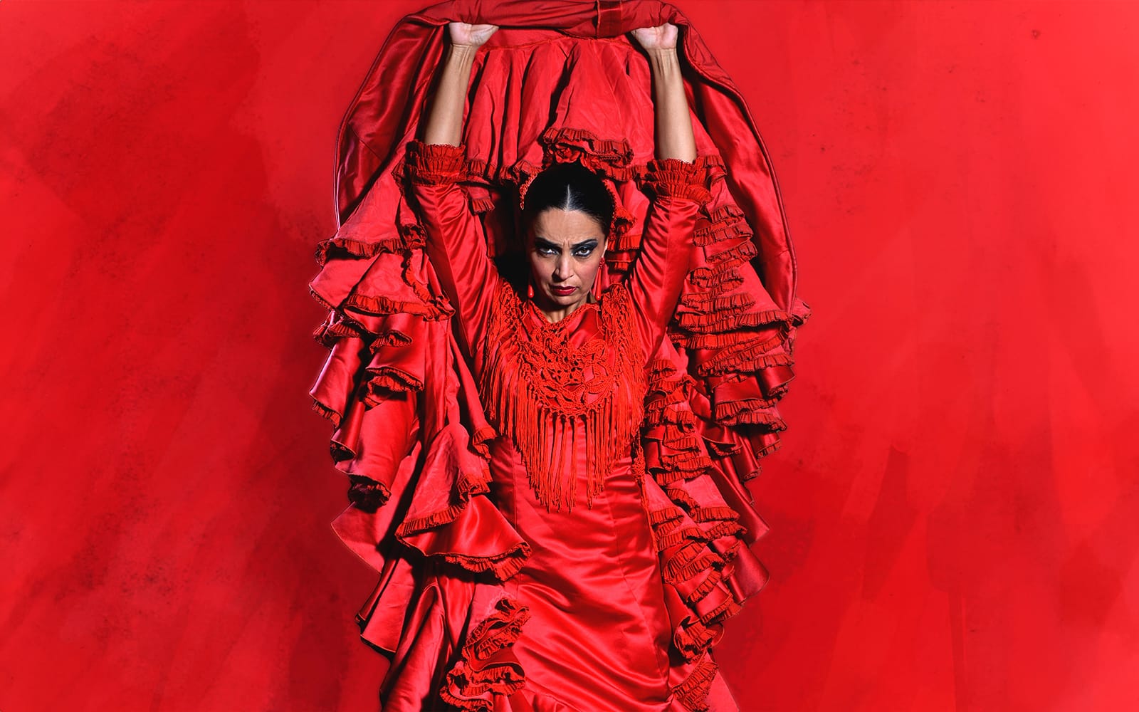 Teatro Flamenco Madrid - Emotions Show tickets in Madrid - Attractions | TickYourList