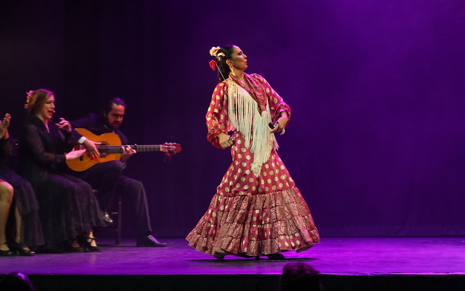 Teatro Flamenco Madrid - Emotions Show tickets in Madrid - Activities | TickYourList