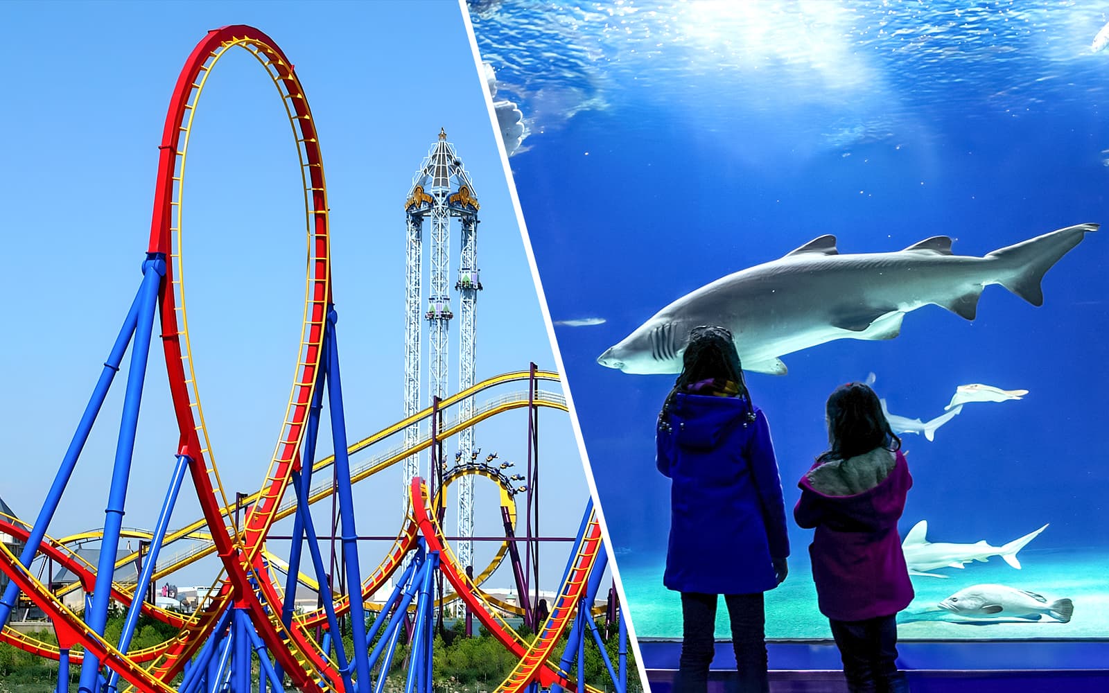 Combo (Save 5%): Parque Warner Tickets + Zoo Aquarium Madrid Skip-The-Line Tickets