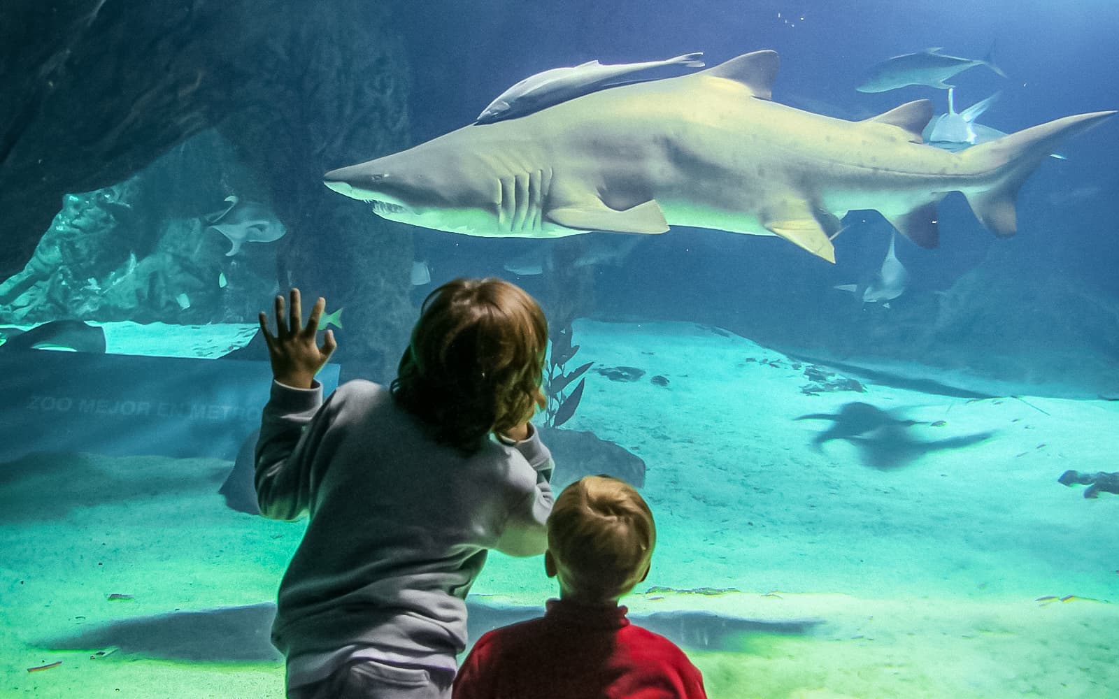 Combo (Save 5%): Parque Warner Tickets + Zoo Aquarium Madrid Skip-The-Line Tickets in Madrid - Highlights | TickYourList