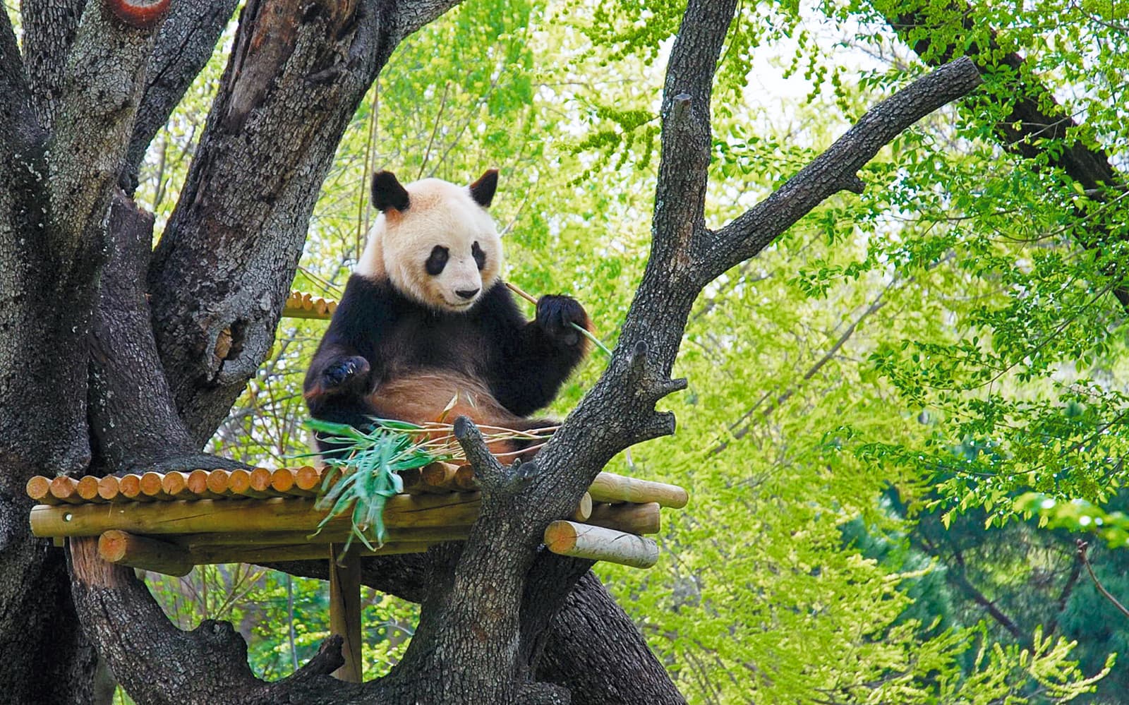 Combo (Save 5%): Parque Warner Tickets + Zoo Aquarium Madrid Skip-The-Line Tickets in Madrid - Features | TickYourList