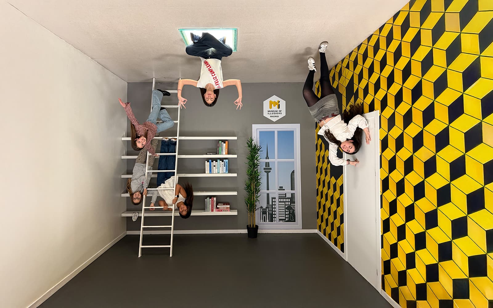 Tickets to Museum of Illusions
