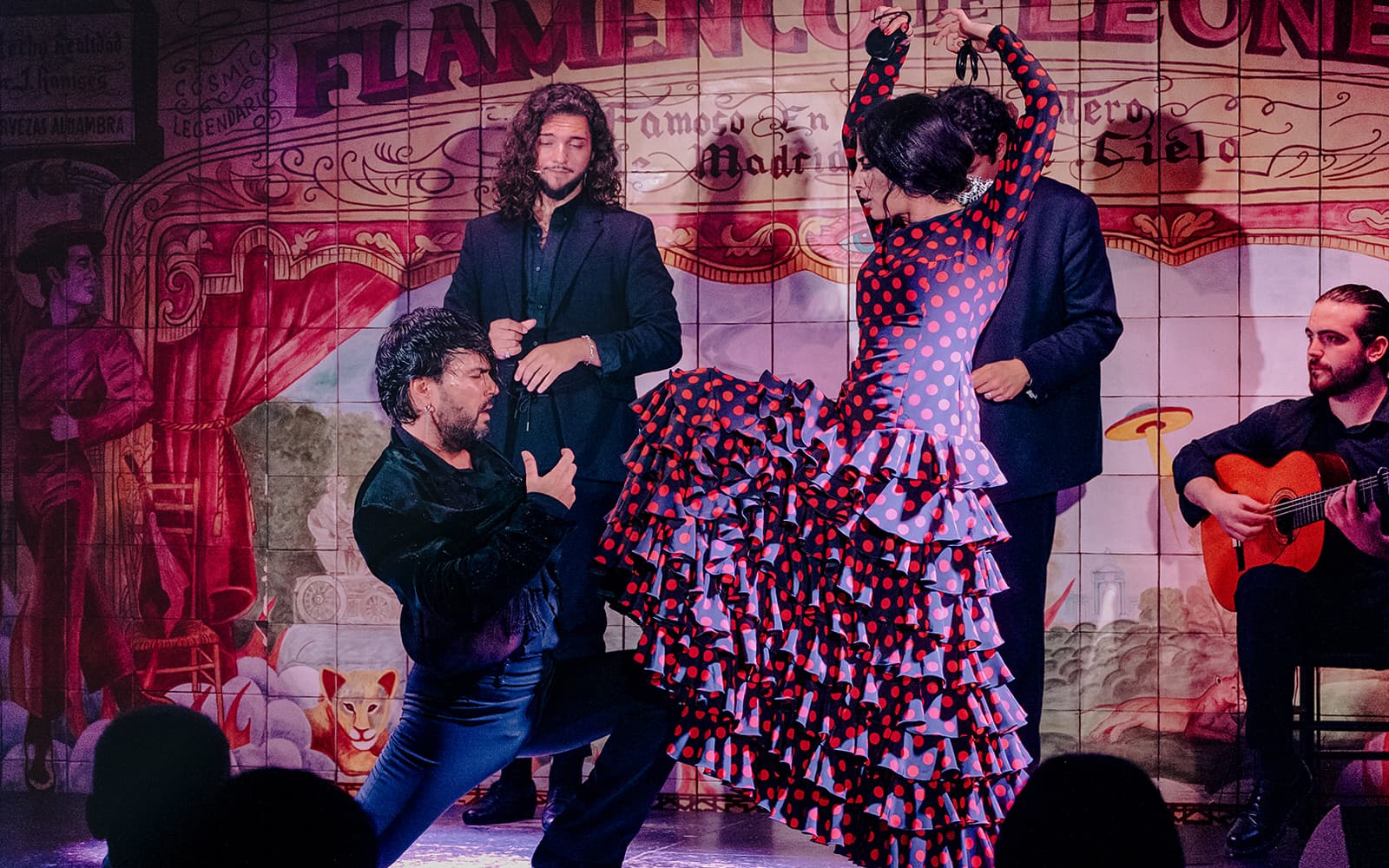 Flamenco De Leones - Flamenco Show