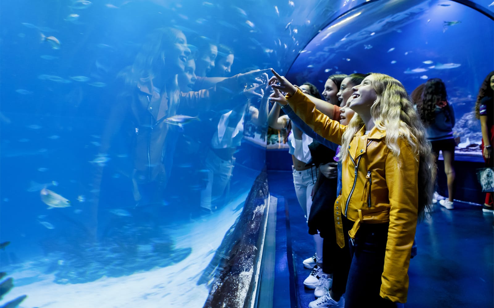 Combo (Save 5%): Museum of Illusions + Atlantis Aquarium Madrid Tickets in Madrid - Activities | TickYourList