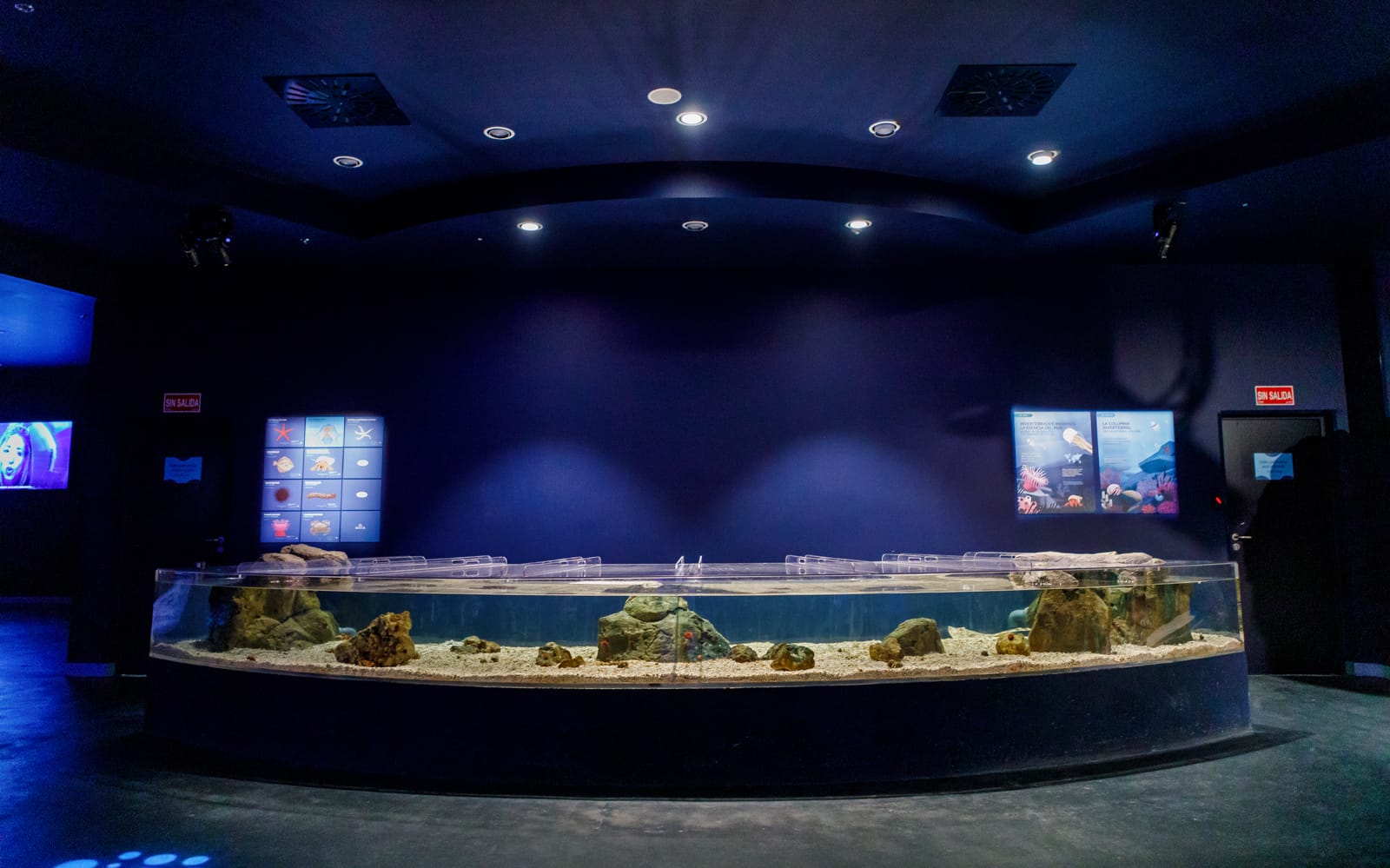 Combo (Save 5%): Museum of Illusions + Atlantis Aquarium Madrid Tickets in Madrid - Features | TickYourList