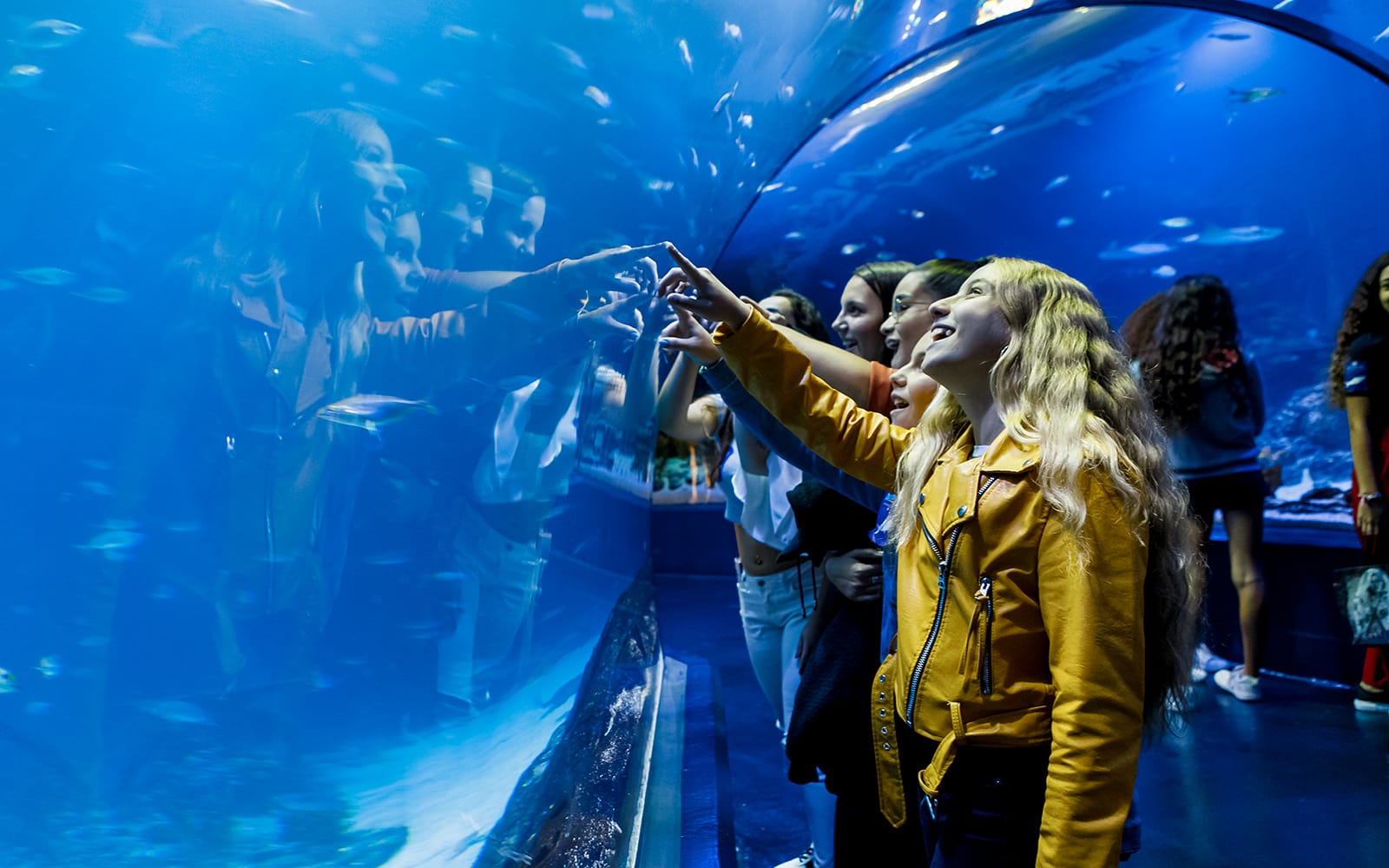 Atlantis Aquarium Madrid Tickets experience in Madrid | TickYourList