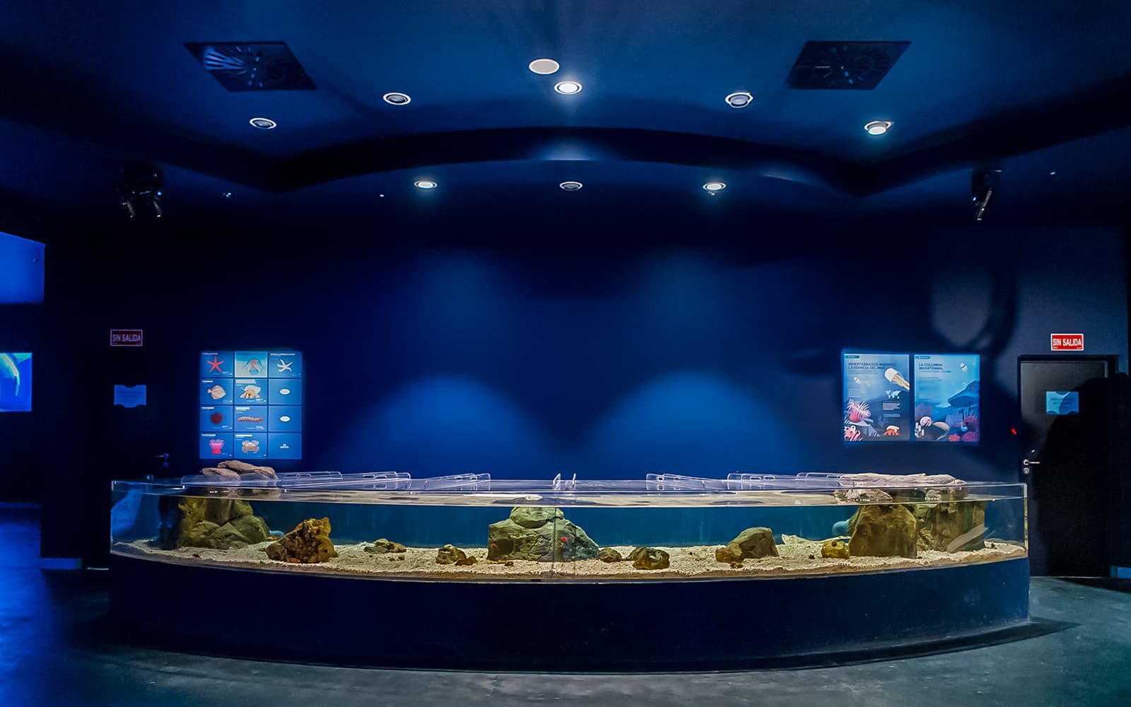 Atlantis Aquarium Madrid Tickets in Madrid - Features | TickYourList