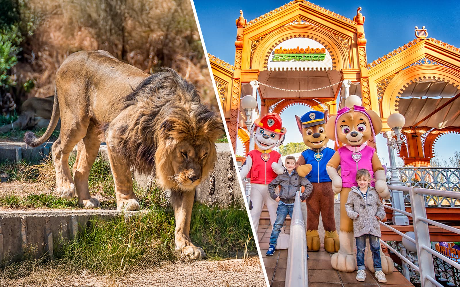 Combo (Save 4%): Madrid Zoo Aquarium + Parque de Atracciones de Madrid Tickets