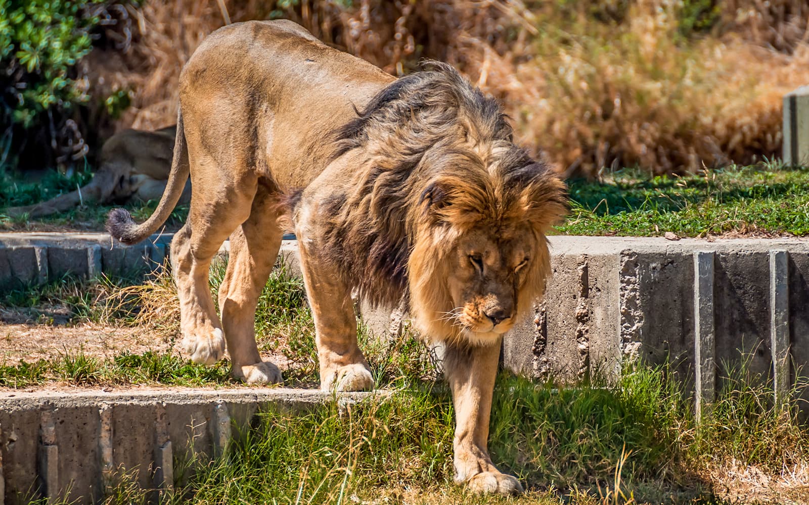Combo (Save 5%): Madrid Zoo Aquarium + Atlantis Aquarium Tickets in Madrid - Attractions | TickYourList